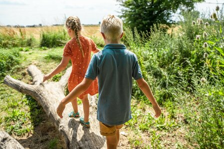 Eiken speelboom ontschorst voor openbaar gebruik 500cm x 180cm