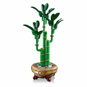 LEGO Botanicals 10344 Bamboe