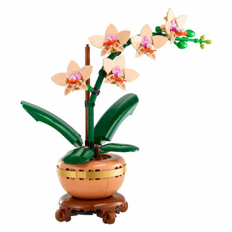 LEGO Botanicals 10343 Miniorchidee