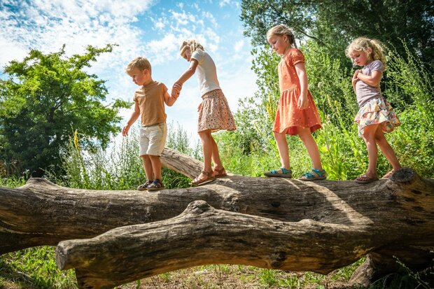 Eiken speelboom ontschorst voor openbaar gebruik 500cm x 180cm