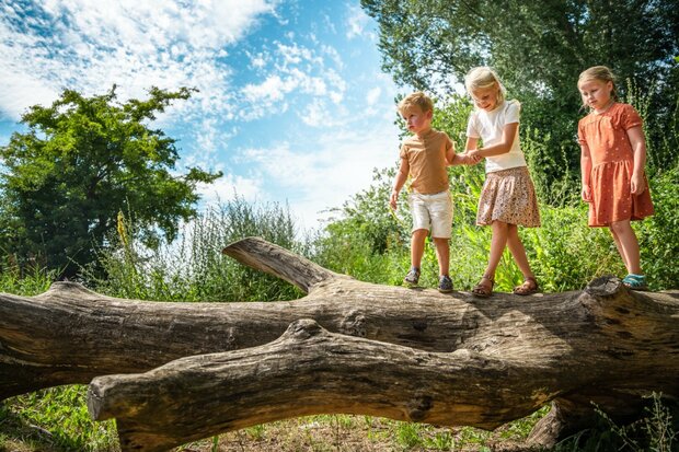 Eiken speelboom ontschorst voor openbaar gebruik 500cm x 180cm