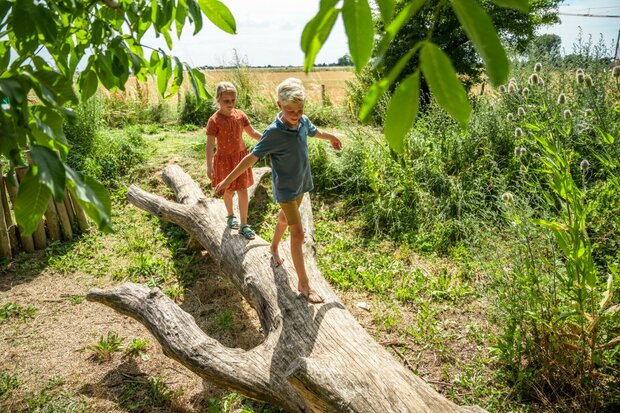 Eiken speelboom ontschorst voor openbaar gebruik 500cm x 180cm