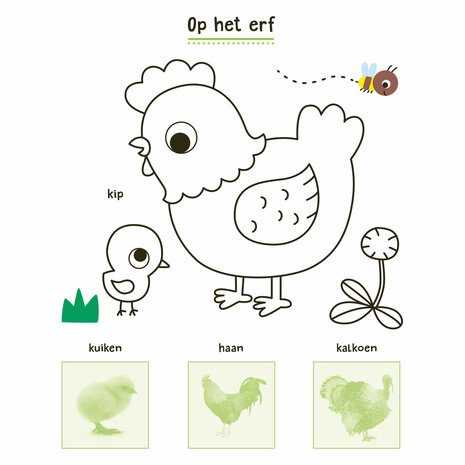 Mijn Dieren Stickerboek