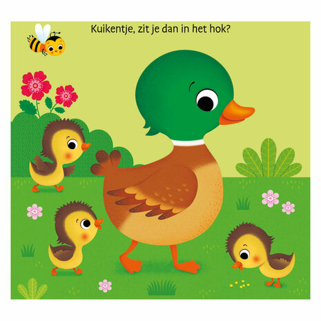 Waar Is het Kuikentje? Flapjesboek