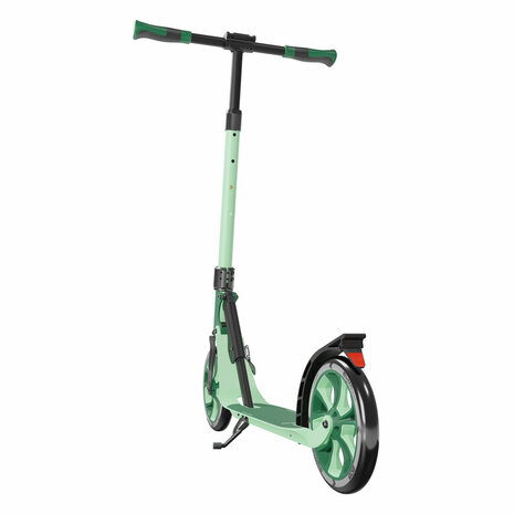 HUDORA Big Wheel Scooter Step 215 Advanced - Pine