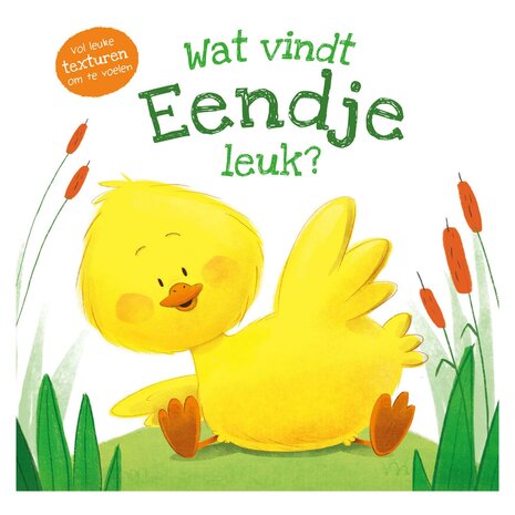 Voelboek - Wat vindt Eendje leuk?