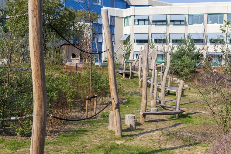 Robinia Balanceerstructuur voor openbaar gebruik 2200cm x 150cm