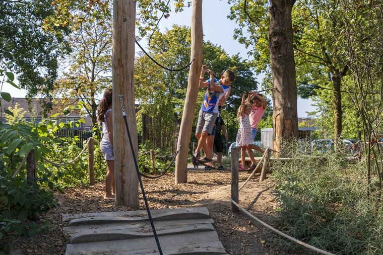 Robinia Balanceerstructuur voor openbaar gebruik 530cm x 690cm