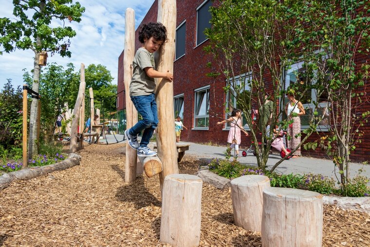 Robinia Balanceerstructuur voor openbaar gebruik 1500cm x 370cm