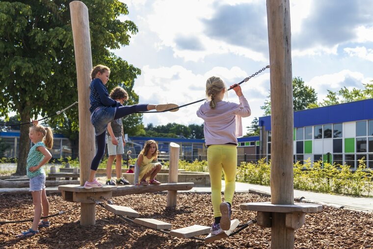 Robinia Balanceerstructuur voor openbaar gebruik 700cm x 500cm