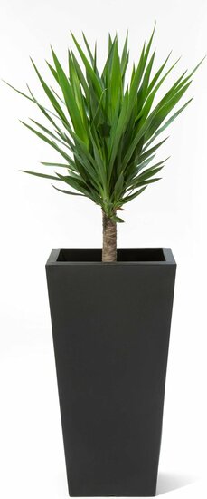 Tremont Vierkant Conische Bloempot Groot - Onyx Black