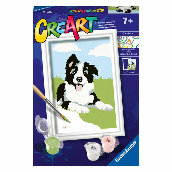 CreArt Schilderen op Nummer - Border Collie