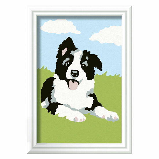 CreArt Schilderen op Nummer - Border Collie