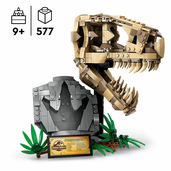 LEGO Jurassic World 76964 Dinosaurusfossielen: T-Rex Schedel