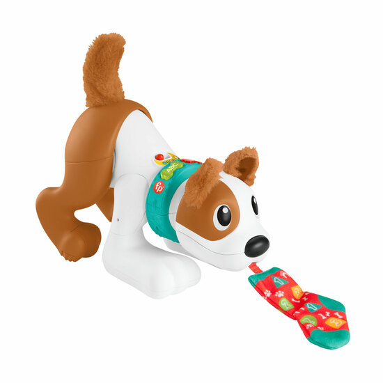 Fisher-Price  - 123 Crawl With Me Puppy-DU