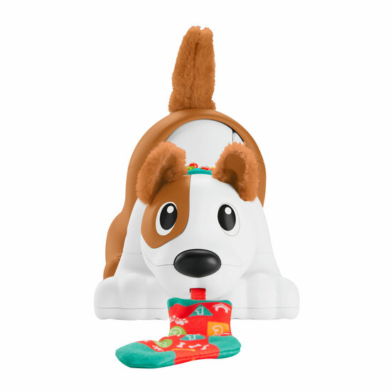 Fisher-Price  - 123 Crawl With Me Puppy-DU