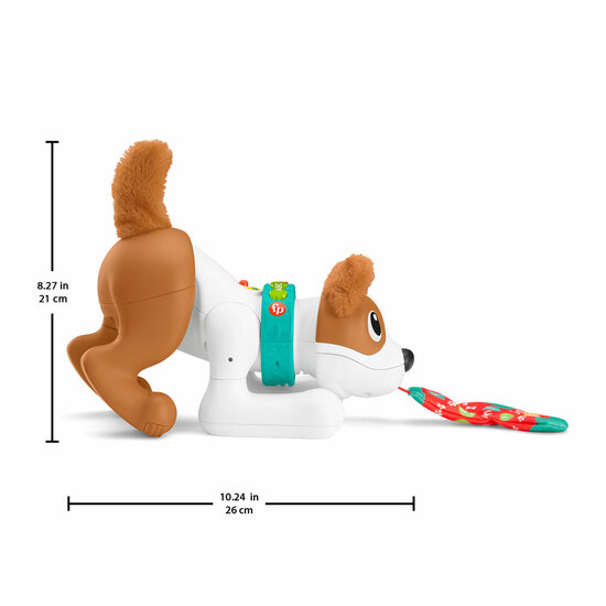 Fisher-Price  - 123 Crawl With Me Puppy-DU