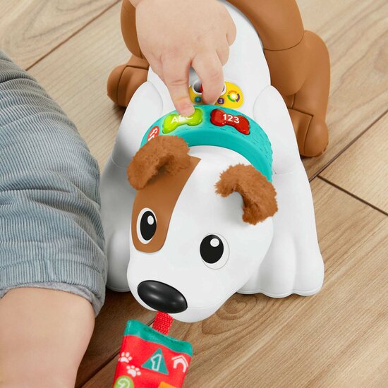 Fisher-Price  - 123 Crawl With Me Puppy-DU