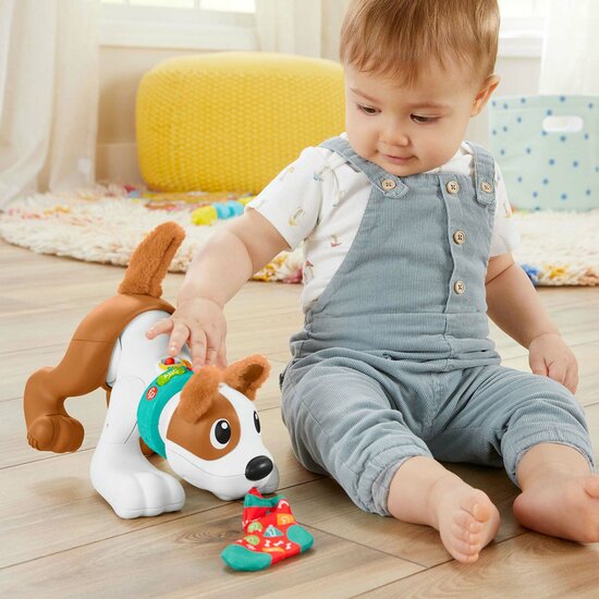 Fisher-Price  - 123 Crawl With Me Puppy-DU