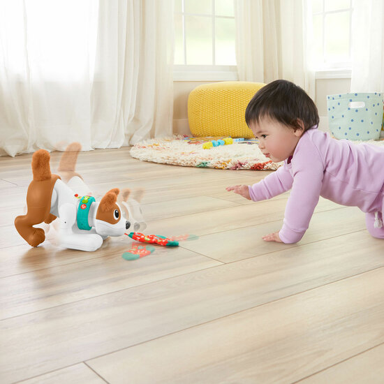 Fisher-Price  - 123 Crawl With Me Puppy-DU