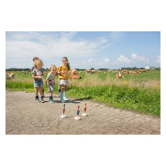 BS Toys Ringwerpen Vogels Hout  - Werpspel