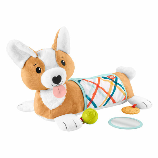 Fisher Price 3in1 Puppy Buikligtrainer