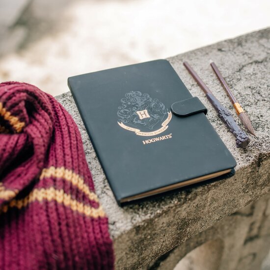 Harry Potter Dagboek Set