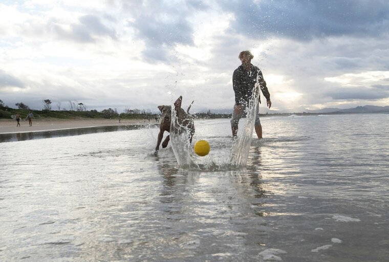 Waboba Pet Fetch Ball