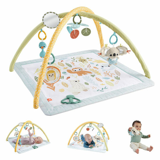 Fisher Price Simply Senses Babygym