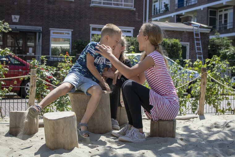 Robinia zitstammen voor openbaar gebruik