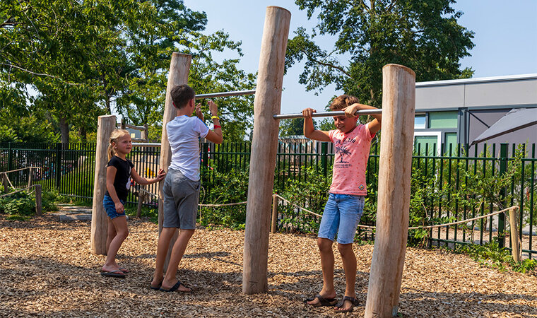 Robinia trioduikelrek voor openbaar gebruik 350cm