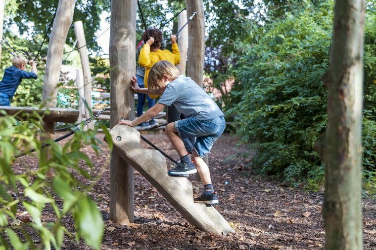 Robinia Speelstructuur voor openbaar gebruik 1800cm x 675cm