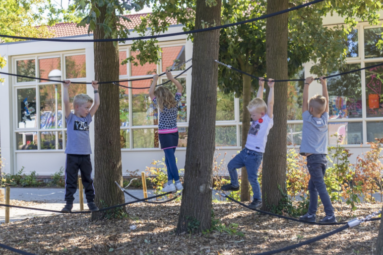 Robinia Speelstructuur voor openbaar gebruik 