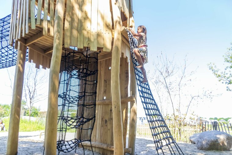 Robinia Wildenburcht voor openbaar gebruik 790cm x 950cm