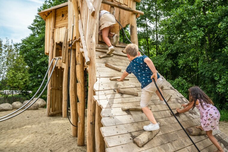 Robinia Wildenburcht voor openbaar gebruik 790cm x 950cm