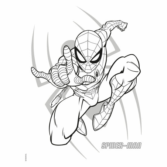 Marvel Spider-Man Color Kleurblok