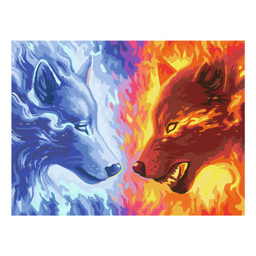 CreArt Schilderen op Nummer - Fire And Ice