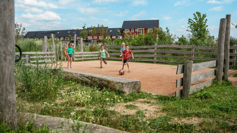 Robinia Pannaveld voor openbaar gebruik 