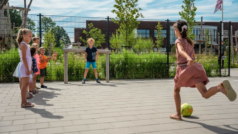 Robinia Minidoel voor openbaar gebruik 