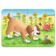 Schattige Huisdieren Puzzel, 4in1