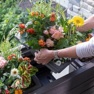 Lakewood Verhoogde Plantenbak - Donker Ceder