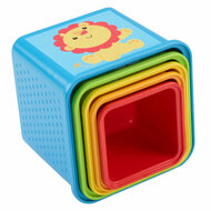 Fisher Price Stapel &amp; Ontdek Blokken, 5dlg.