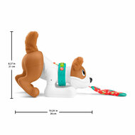 Fisher-Price  - 123 Crawl With Me Puppy-DU