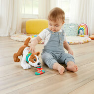 Fisher-Price  - 123 Crawl With Me Puppy-DU