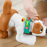 Fisher-Price  - 123 Crawl With Me Puppy-DU