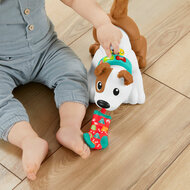 Fisher-Price  - 123 Crawl With Me Puppy-DU