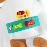 Fisher-Price  - 123 Crawl With Me Puppy-DU