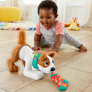 Fisher-Price  - 123 Crawl With Me Puppy-DU