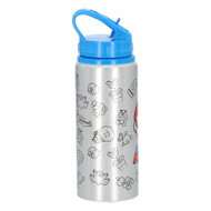 Super Mario Aluminium Drinkfles, 710ml