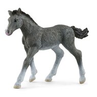 schleich HORSE CLUB Trakehner Veulen 13944